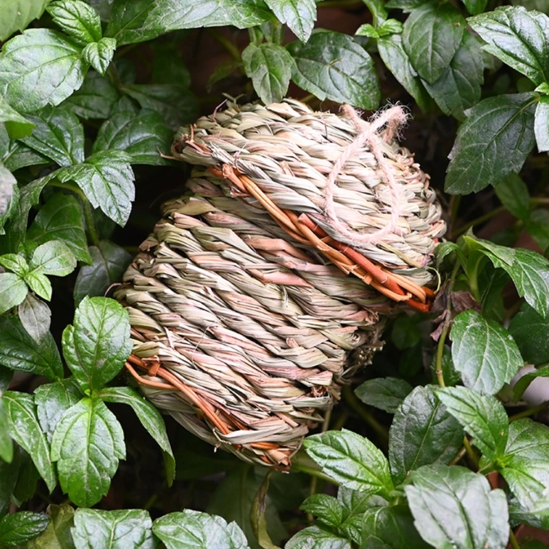Bird Nest Grass Bird Hut Outdoor Hanging Natural Fiber Birdhouse Canaries Nest Wren Nest Chickadee House Bird Hideaway
Bird Nest Grass Bird Hut Outdoor Hanging Natural Fiber Birdhouse Canaries Nest Wren Nest Chickadee House Bird Hideaway