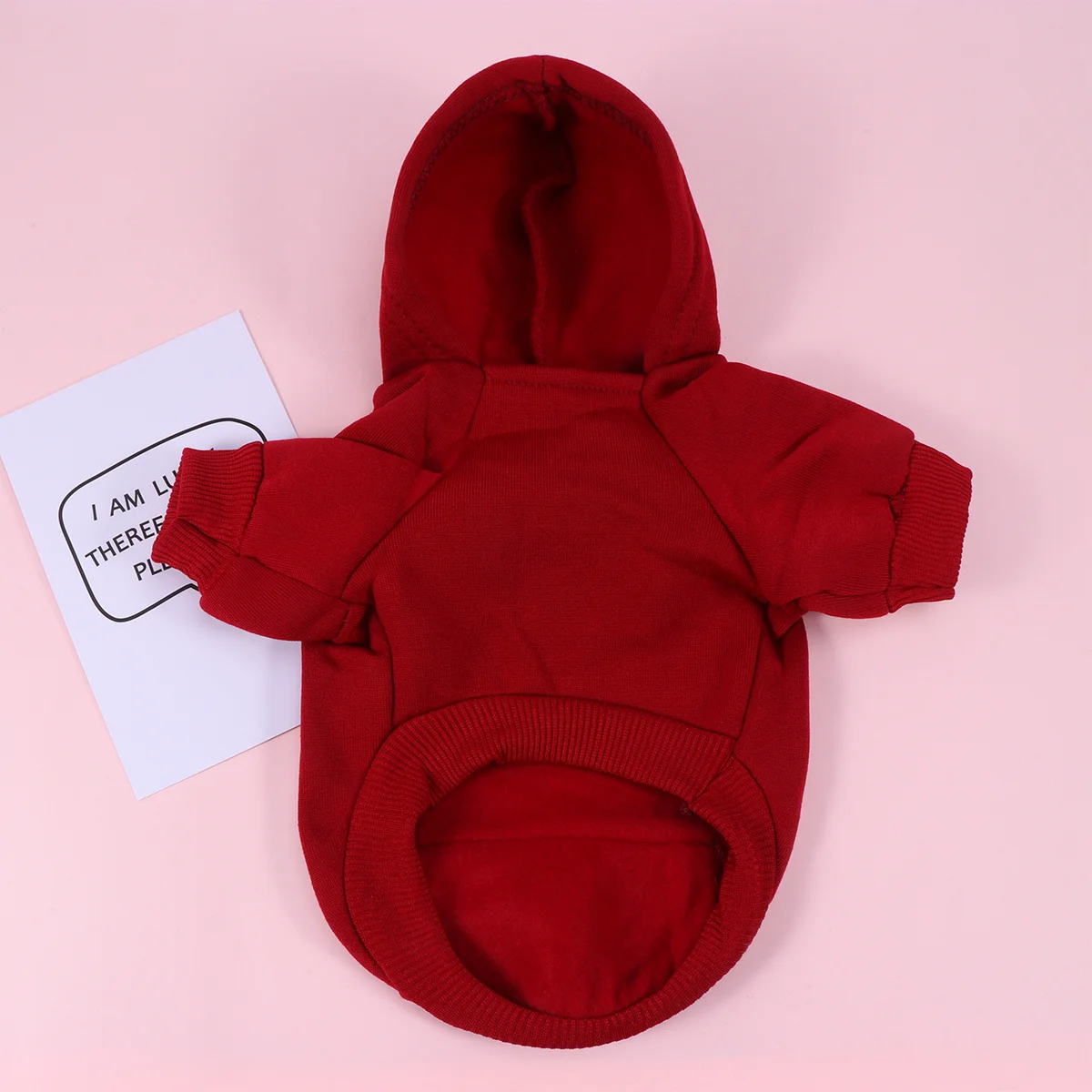 Pet Warm Coat Warm Puppy Pocket Hoodie Outfits Cold Weather Clothes Customes for Winter Autumn - Size XS (Red)
Pet Warm Coat Warm Puppy Pocket Hoodie Outfits Cold Weather Clothes Customes for Winter Autumn - Size XS (Red)