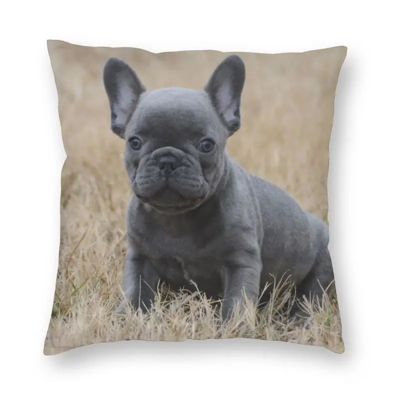Cute Pet French Bulldog Cushion Cover Sofa Home Decorative Frenchie Dog Lover Square Pillow Case 45x45
Cute Pet French Bulldog Cushion Cover Sofa Home Decorative Frenchie Dog Lover Square Pillow Case 45x45