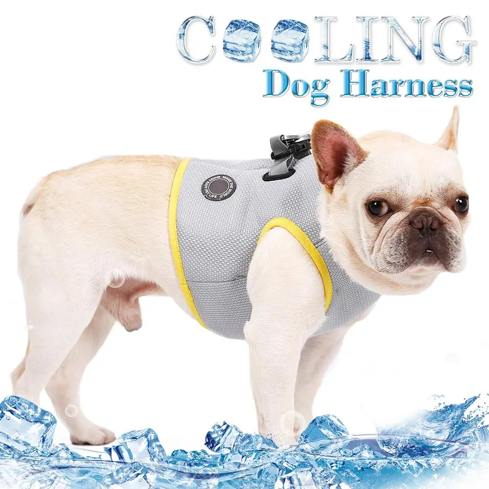 2020 Summer Dog Cooling Vest Breathable Heatstroke Pet Dog Cooling Clothes Pet Mesh Reflective Vest Harnesses Quick Release Hot
2020 Summer Dog Cooling Vest Breathable Heatstroke Pet Dog Cooling Clothes Pet Mesh Reflective Vest Harnesses Quick Release Hot