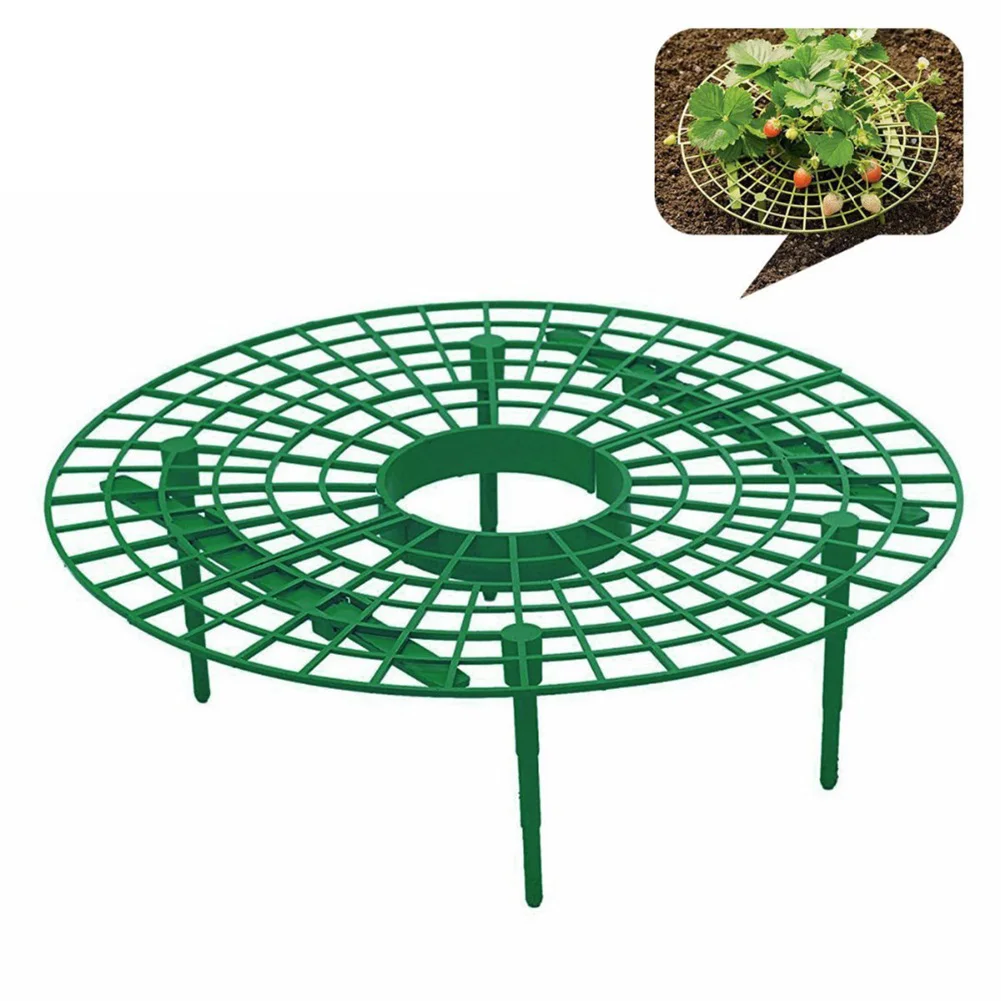 5pcs Strawberry Planting Fruit Holder Support Plant Climbing Stand for flowers Plant Flower Climbing Vine Pillar For Garden
5pcs Strawberry Planting Fruit Holder Support Plant Climbing Stand for flowers Plant Flower Climbing Vine Pillar For Garden