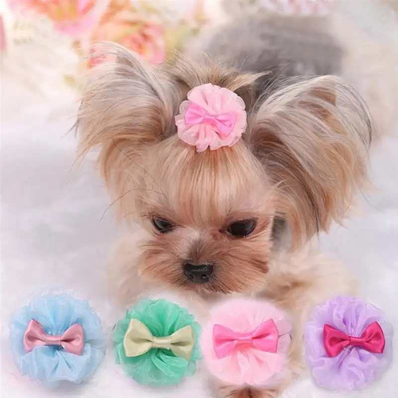 Fashion Pet Dog Hair Bows Decor Creative Lovely Puppies Kittens Bows Hair Band Small Dog Hair Decor Supplies Dogs Accessories
Fashion Pet Dog Hair Bows Decor Creative Lovely Puppies Kittens Bows Hair Band Small Dog Hair Decor Supplies Dogs Accessories