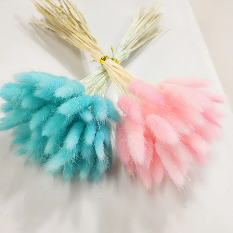 Natural Dried Flower Rabbit Tail Grass Photography Props Home Decoration Window Party Wedding DIY Works Plant Accessories
Natural Dried Flower Rabbit Tail Grass Photography Props Home Decoration Window Party Wedding DIY Works Plant Accessories