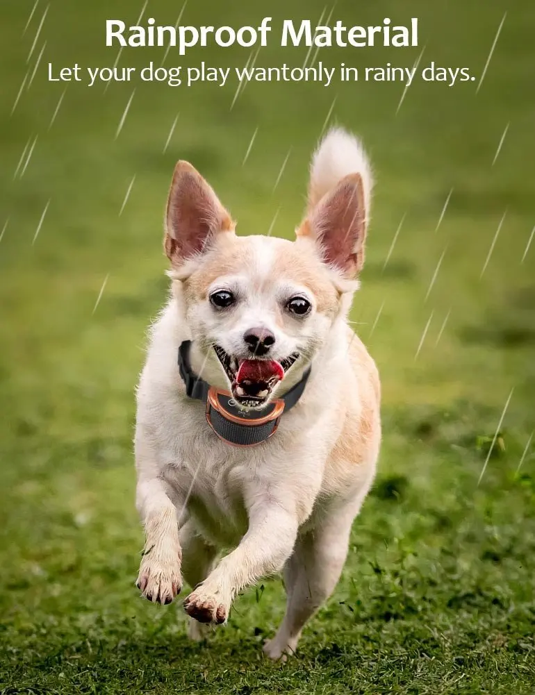 Safe Automatic Dog Bark Collar Pet Training Collar Rechargeable Barking Stop Collar 2 Modes Sound Static Shock 45 Days Work Time
Safe Automatic Dog Bark Collar Pet Training Collar Rechargeable Barking Stop Collar 2 Modes Sound Static Shock 45 Days Work Time