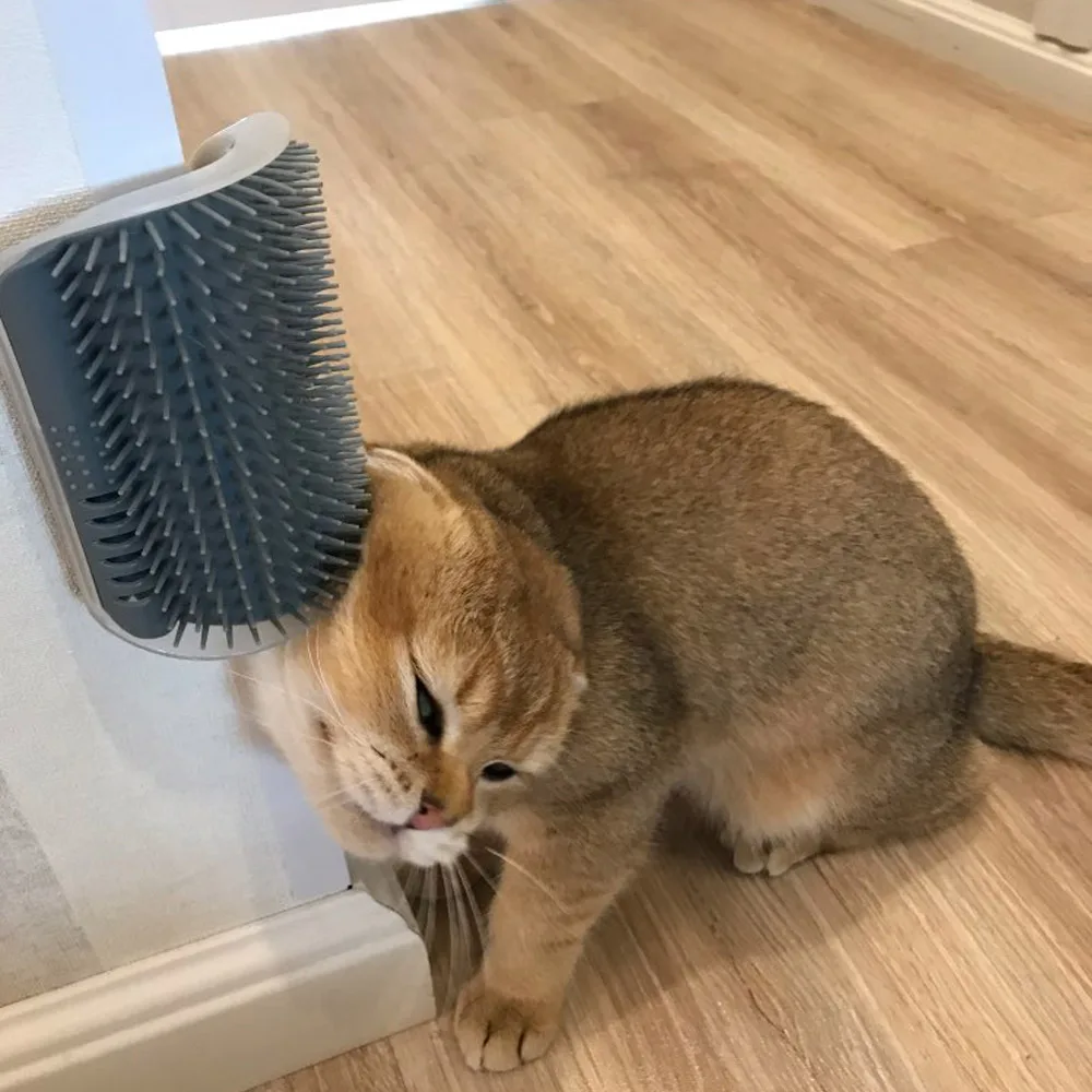 Cats Brush Corner Cat Massage Self Groomer Comb Brush Cat Rubs the Face with a Tickling Comb Cat Product Dropshipping
Cats Brush Corner Cat Massage Self Groomer Comb Brush Cat Rubs the Face with a Tickling Comb Cat Product Dropshipping