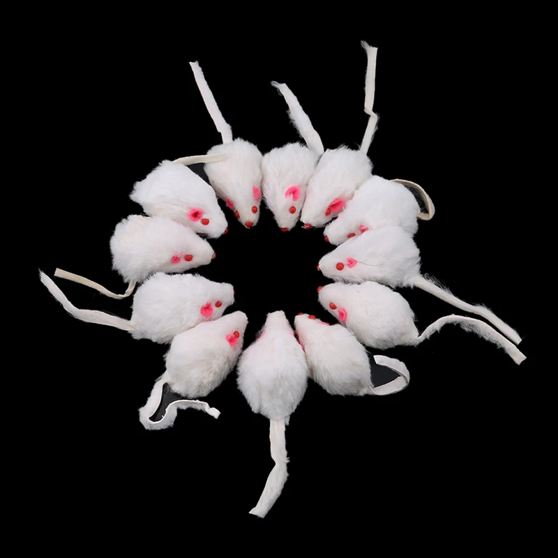 12PCs Black&White Plush Mouse Toys Cat Toys Short Hair Real Fur Mouse Cat Toys Pet Cat Kitty Pet Supplies
12PCs Black&White Plush Mouse Toys Cat Toys Short Hair Real Fur Mouse Cat Toys Pet Cat Kitty Pet Supplies