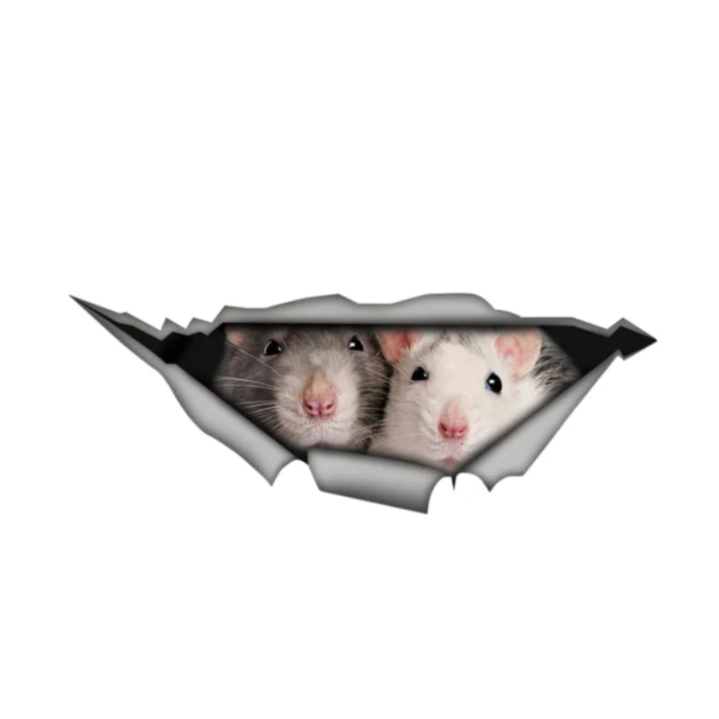 13cm Rats Car Sticker 3D Pet Graphic Vinyl Decal Car Window Laptop Bumper Car Stickers
13cm Rats Car Sticker 3D Pet Graphic Vinyl Decal Car Window Laptop Bumper Car Stickers