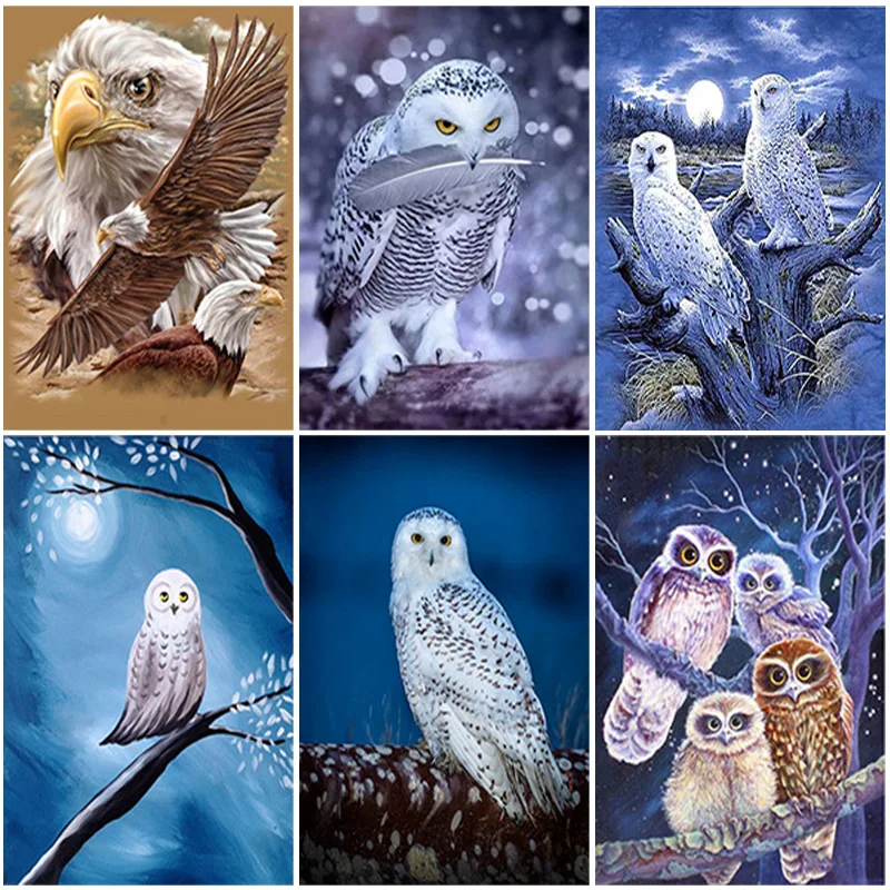 DIY Owl 5D Diamond Painting Animal Mosaic Cross Stitch Diamond Embroidery Rhinestone Full Square Drill Manual Hobby Home Decor
DIY Owl 5D Diamond Painting Animal Mosaic Cross Stitch Diamond Embroidery Rhinestone Full Square Drill Manual Hobby Home Decor