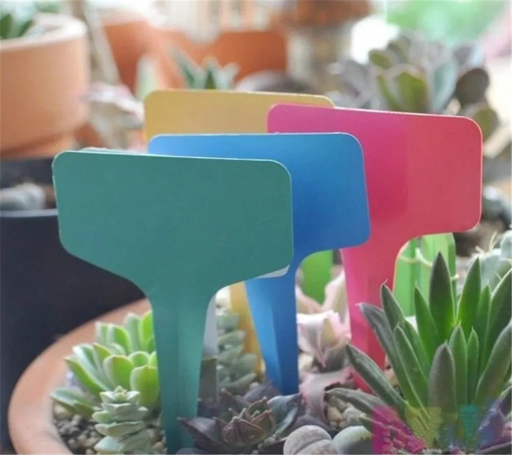 100pcs 6x10cm T-Shaped Nursery Garden Plant Plastic Label Waterproof Classification Mark Diy Garden Decoration Tool Accessories
100pcs 6x10cm T-Shaped Nursery Garden Plant Plastic Label Waterproof Classification Mark Diy Garden Decoration Tool Accessories
