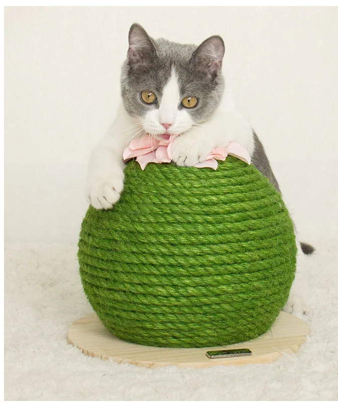 Cat New Scratching Board Pricky Pear Funny Toy For Kitten Cactus Fashion Product Nail Pad Sisal Cat Scratcher Game Decoration
Cat New Scratching Board Pricky Pear Funny Toy For Kitten Cactus Fashion Product Nail Pad Sisal Cat Scratcher Game Decoration