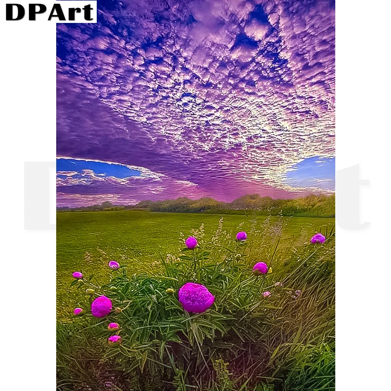 Diamond Painting Full Square/Round Drill Beautiful Grassland Sky 3D Daimond Embroidery Painting Cross Kit Mosaic Rhinestone L367
Diamond Painting Full Square/Round Drill Beautiful Grassland Sky 3D Daimond Embroidery Painting Cross Kit Mosaic Rhinestone L367