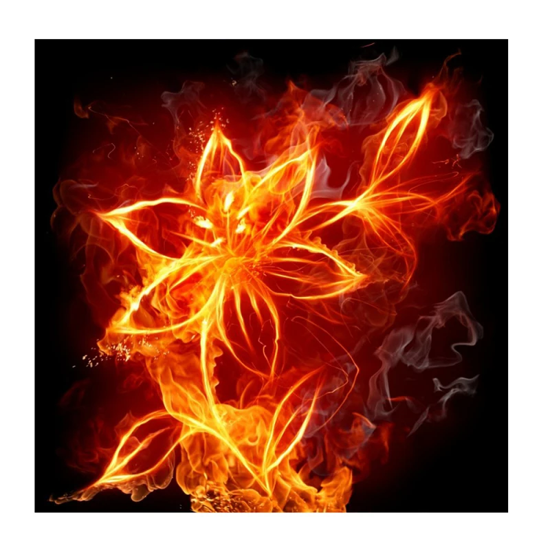 5D DIY Diamond Painting Cross Stitch Like Fire Floral Golden Needlework Diamond Painting Flower Home Decorative
5D DIY Diamond Painting Cross Stitch Like Fire Floral Golden Needlework Diamond Painting Flower Home Decorative