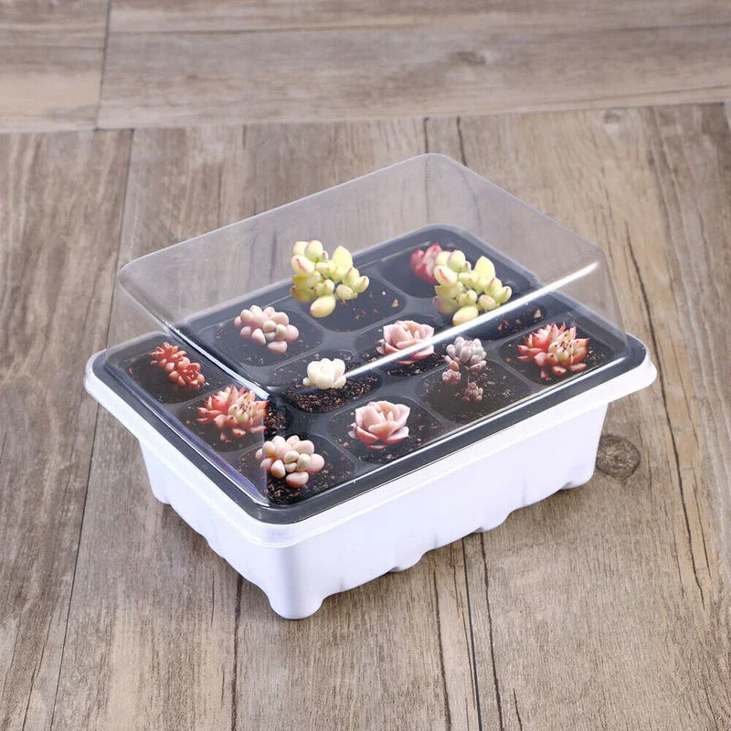 Planting Propagator Trays 6/12 Cell Germination Growing Starter Tray Plant Nursery Trays Plastic with Lid for Greenhouse Garden
Planting Propagator Trays 6/12 Cell Germination Growing Starter Tray Plant Nursery Trays Plastic with Lid for Greenhouse Garden