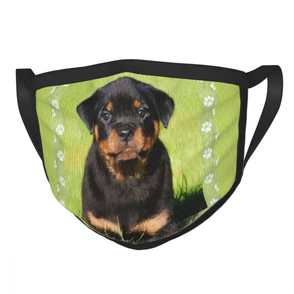 Многоразовая Пылезащитная маска Rottweiler для щенков, маска для любителей собак, Пылезащитная маска, респиратор, маска для рта
Многоразовая Пылезащитная маска Rottweiler для щенков, маска для любителей собак, Пылезащитная маска, респиратор, маска для рта