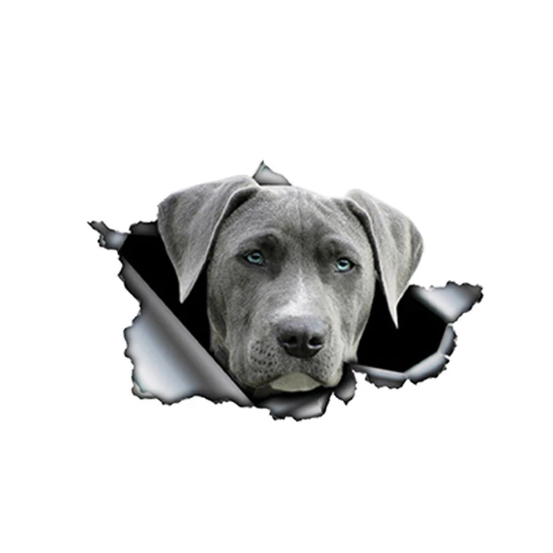13cm*8cm 1 Pcs Creative Decal Grey Weimaraner Car Sticker Torn Metal Decal Reflective Stickers Waterproof 3D Car Styling Pet Dog
13cm*8cm 1 Pcs Creative Decal Grey Weimaraner Car Sticker Torn Metal Decal Reflective Stickers Waterproof 3D Car Styling Pet Dog