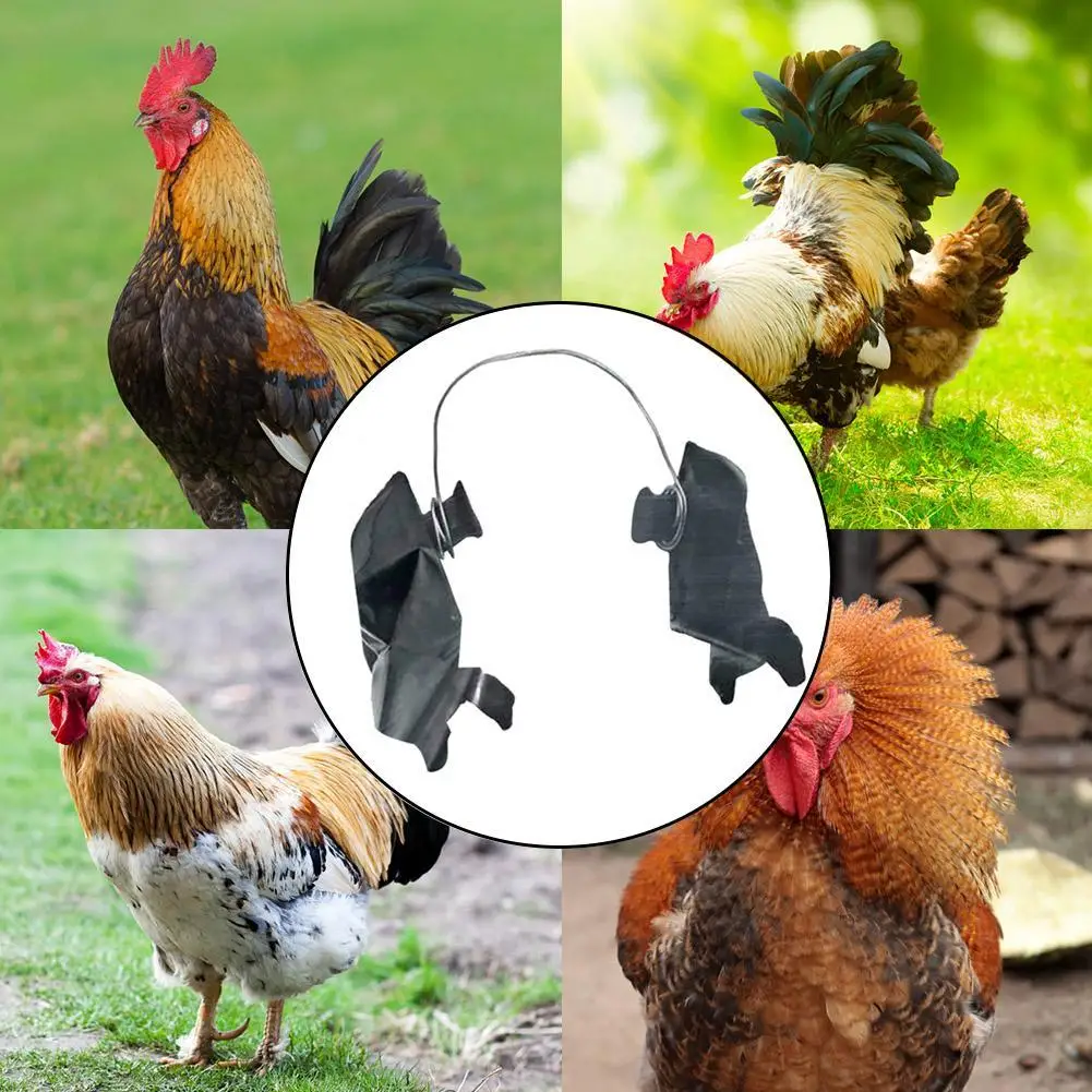 New Chicken Arm Toy Chicken Forelimb Decoration Funny Funny Gift Chicken Arms For Pet Chicken Decorations Themed Party Instock
New Chicken Arm Toy Chicken Forelimb Decoration Funny Funny Gift Chicken Arms For Pet Chicken Decorations Themed Party Instock