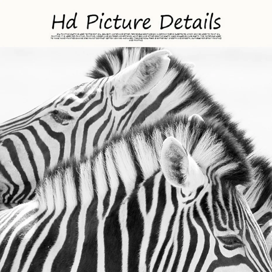 Черно белая африканская пара животных Зебра холст картины животные лошадь