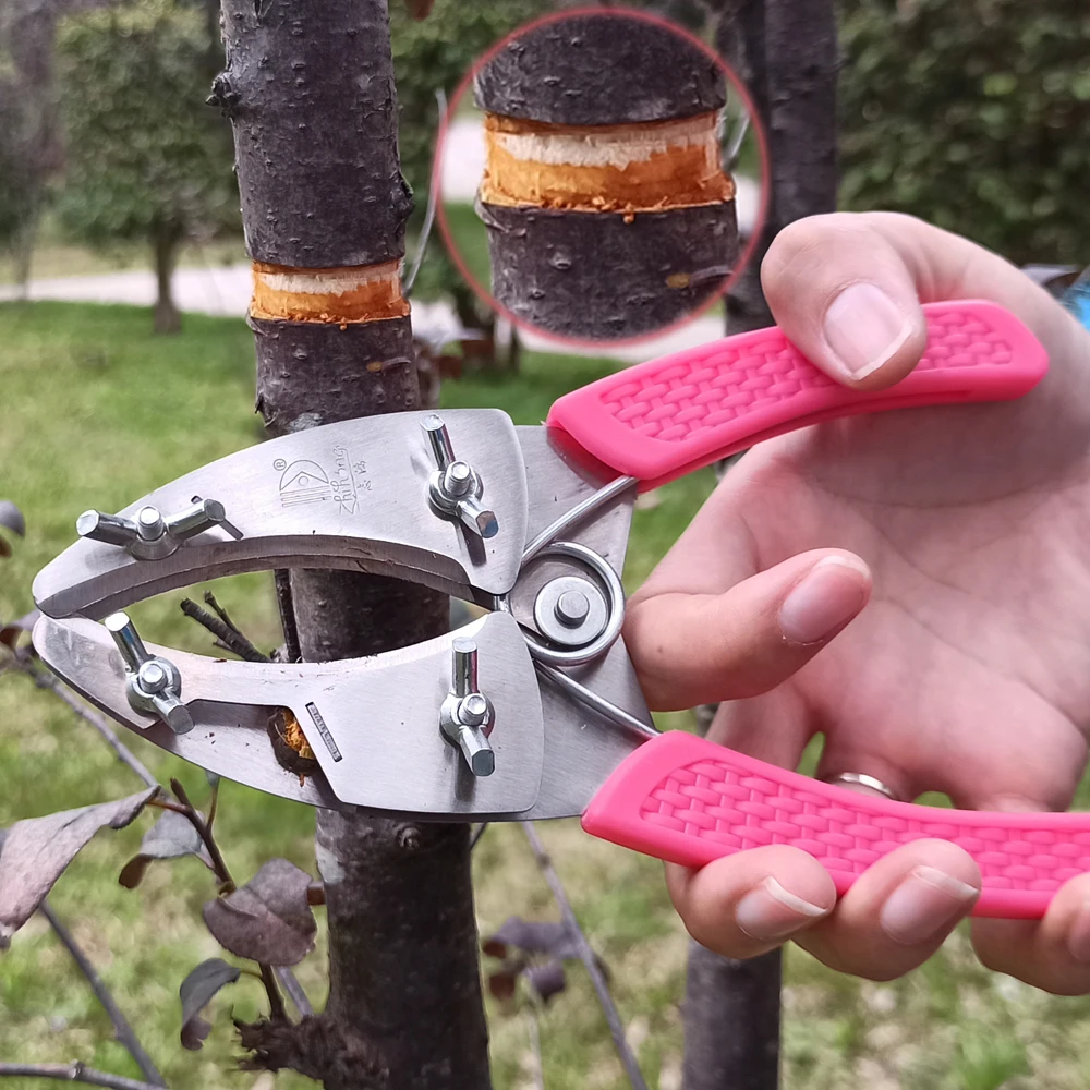 Прививочный инструмент RDDSPON ножницы для удаления лая фруктовых деревьев в форме