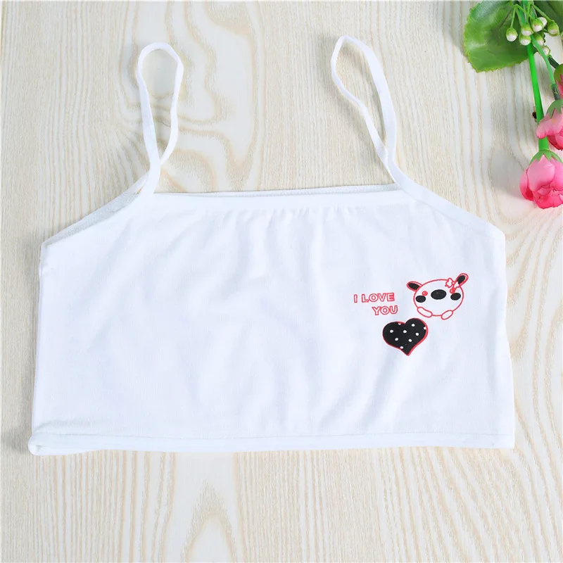 5PCS Teenagers Training Bra for Girls Cotton Kids Wireless Puberty Underwear Big Girl Sport Bras Seamless Vest 8-14Years
5PCS Teenagers Training Bra for Girls Cotton Kids Wireless Puberty Underwear Big Girl Sport Bras Seamless Vest 8-14Years