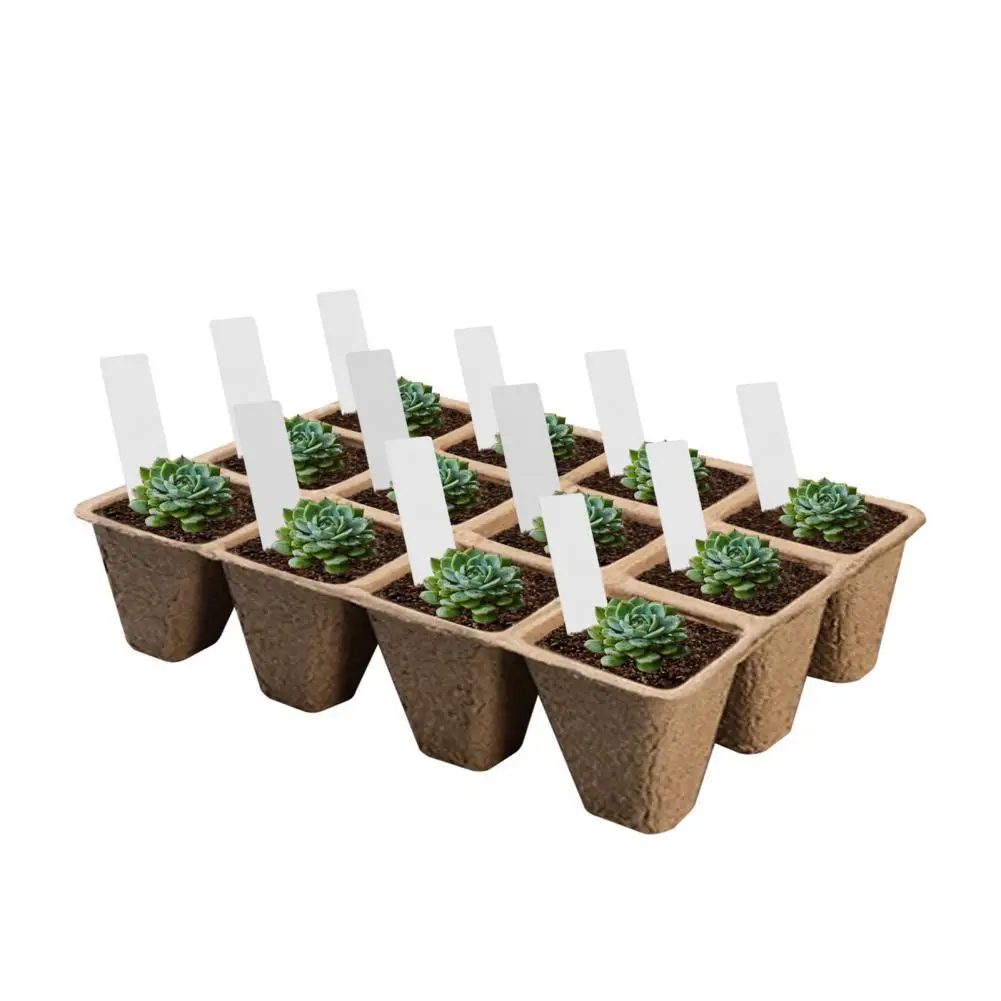Reusable 1 Set Attractive Stable Shockproof Plant Nursery Tray Anti-wear Planting Pot Durable for Yard
Reusable 1 Set Attractive Stable Shockproof Plant Nursery Tray Anti-wear Planting Pot Durable for Yard