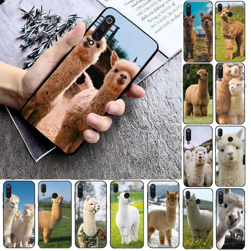 FHNBLJ Lama Phone Case Phone Case For Xiaomi mi9 mi8 F1 9SE 10lite note10lite Mi8lite Back Coque xiaomimi5x
FHNBLJ Lama Phone Case Phone Case For Xiaomi mi9 mi8 F1 9SE 10lite note10lite Mi8lite Back Coque xiaomimi5x