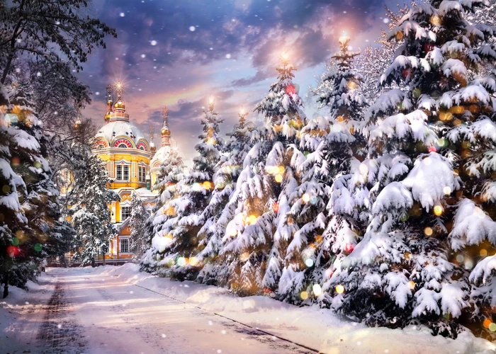 Photography backdrop winter Christmas tree celebration castle background for photo studio new design camera fotografica
Photography backdrop winter Christmas tree celebration castle background for photo studio new design camera fotografica