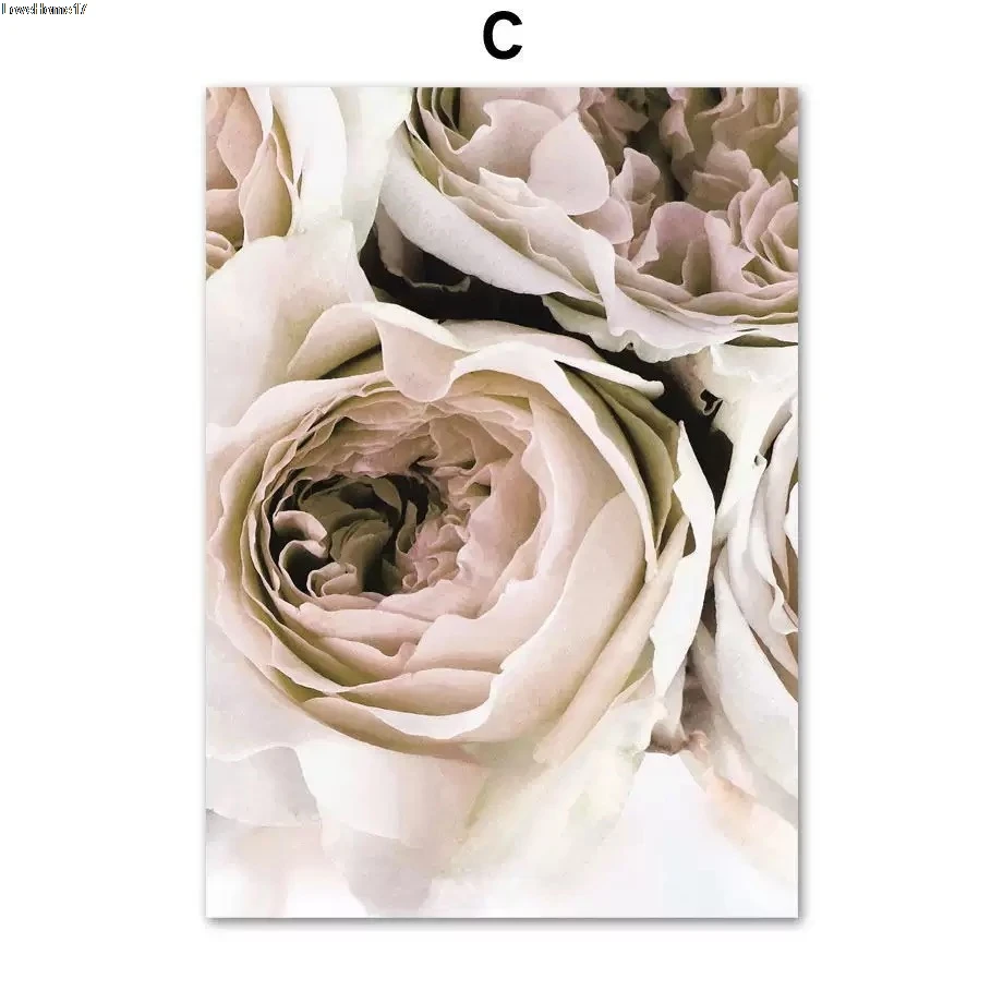 Peony Flower Art Poster Minimalism Modern Fashion Nordic Style Popular Frameless Photo Home Decoration Canvas Oil Painting
Peony Flower Art Poster Minimalism Modern Fashion Nordic Style Popular Frameless Photo Home Decoration Canvas Oil Painting