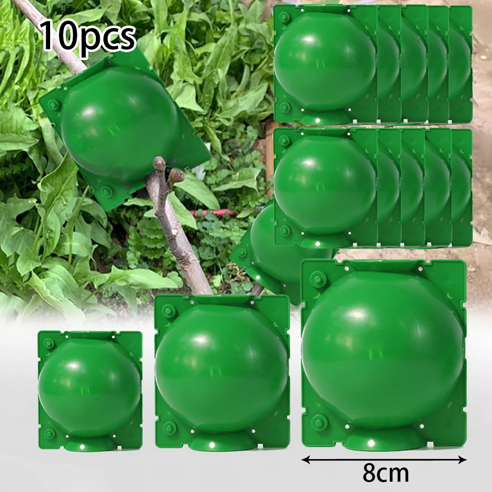 10pcs Plant Rooting Ball Propagation Rooting Box Plant Cloner Grafting Breeding Container Nursery Box Garden Root Cases
10pcs Plant Rooting Ball Propagation Rooting Box Plant Cloner Grafting Breeding Container Nursery Box Garden Root Cases