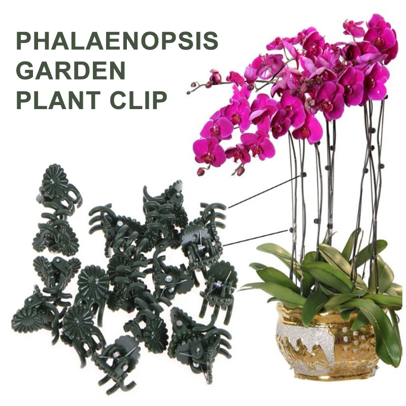 50Pcs Garden Plant Support Spring Clips Plastic Tree Shrub Tie Cane Farm Clips For Orchid Hanging Vine Connects Plants
50Pcs Garden Plant Support Spring Clips Plastic Tree Shrub Tie Cane Farm Clips For Orchid Hanging Vine Connects Plants