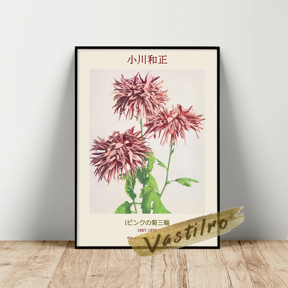 Ogawa Kazumasa Exhibition Poster, Three Pink Chrysanthemum Wall Pictrue, Vintage Kazumasa Wall Art, Beautiful Flower Leaf Prints 
Ogawa Kazumasa Exhibition Poster, Three Pink Chrysanthemum Wall Pictrue, Vintage Kazumasa Wall Art, Beautiful Flower Leaf Prints