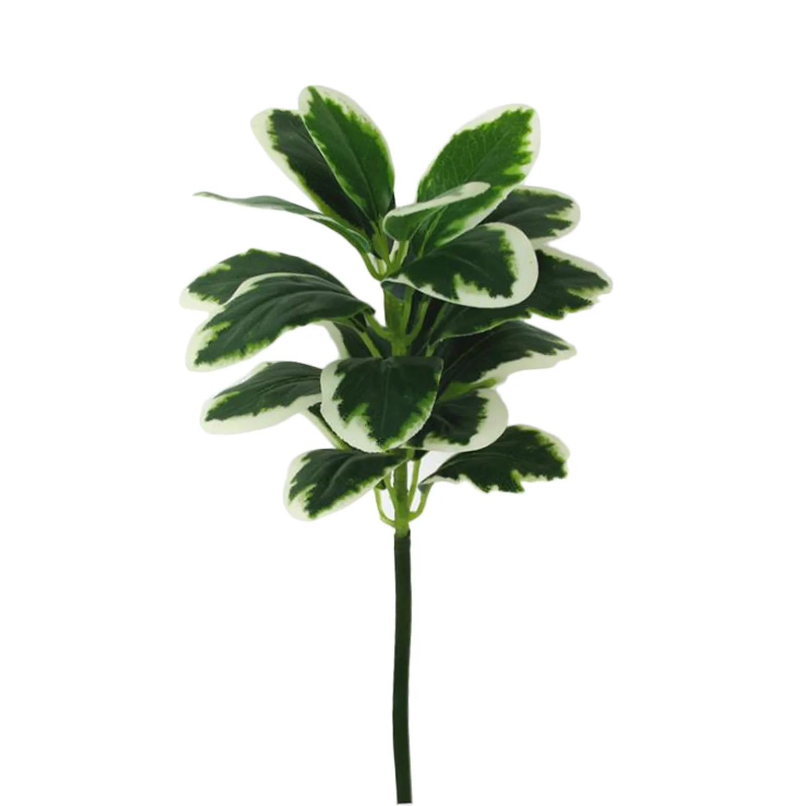 Flower Artificial Banian Branch Fake Plastic Green Plant Decor Leave Home Banyan Kapok Leaves PVC Bouquet Tree Simulation Plants
Flower Artificial Banian Branch Fake Plastic Green Plant Decor Leave Home Banyan Kapok Leaves PVC Bouquet Tree Simulation Plants