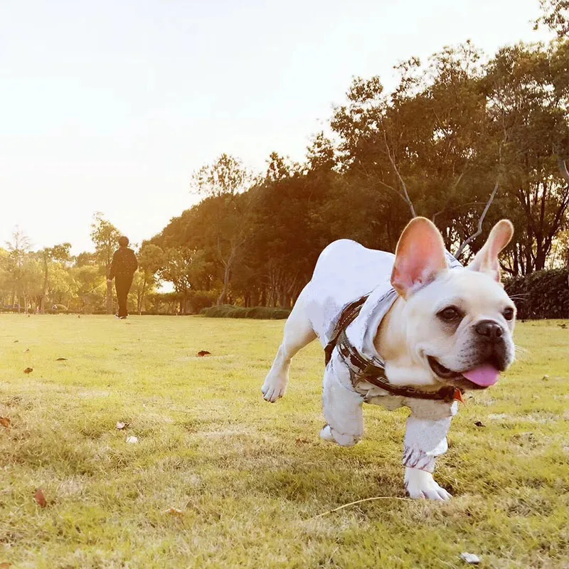 French Bulldog Hoodies Pet Dog Clothes for Small Dogs Clothing Chihuahua Windbreaker for Yorkies Raincoat Dog Accessories
French Bulldog Hoodies Pet Dog Clothes for Small Dogs Clothing Chihuahua Windbreaker for Yorkies Raincoat Dog Accessories