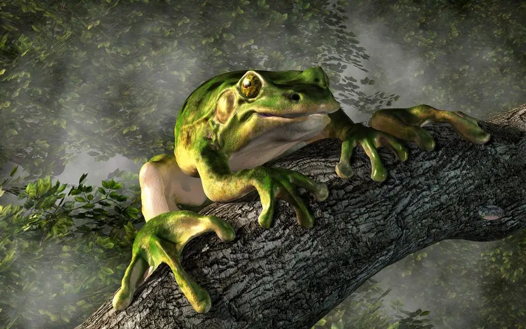 Jmine Div 5D Tree Frog Full Diamond Painting cross stitch kits art High Quality Animal 3D paint by diamonds
Jmine Div 5D Tree Frog Full Diamond Painting cross stitch kits art High Quality Animal 3D paint by diamonds