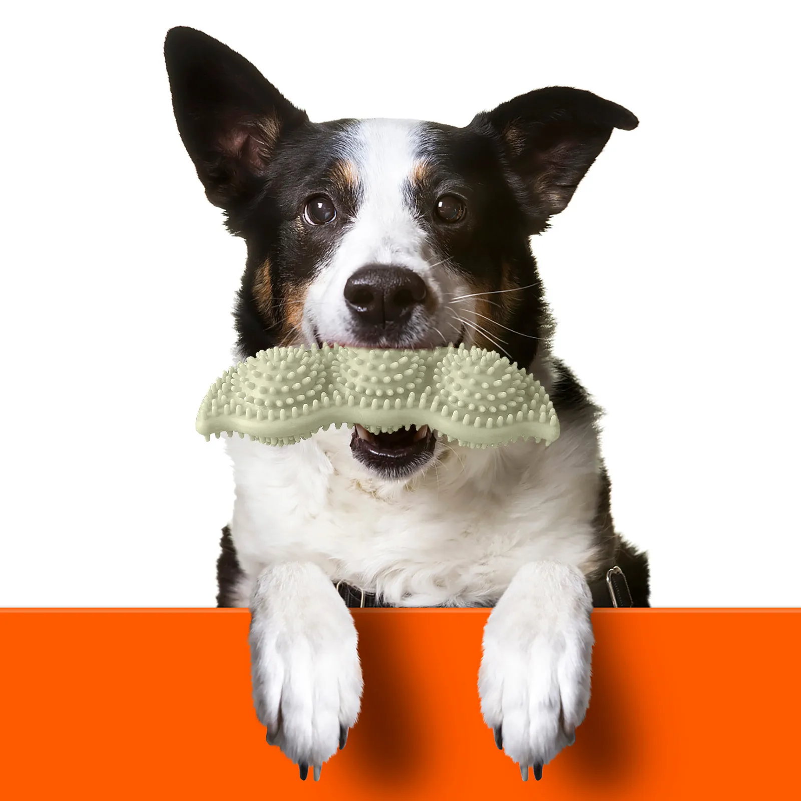 3pc Puppies Toy for Teething -Soothe Itchy and Painful Teeth -360Cleaning Mouth Animal Squeak Pet Dogs Cat Chew Squeaking Toy
3pc Puppies Toy for Teething -Soothe Itchy and Painful Teeth -360Cleaning Mouth Animal Squeak Pet Dogs Cat Chew Squeaking Toy