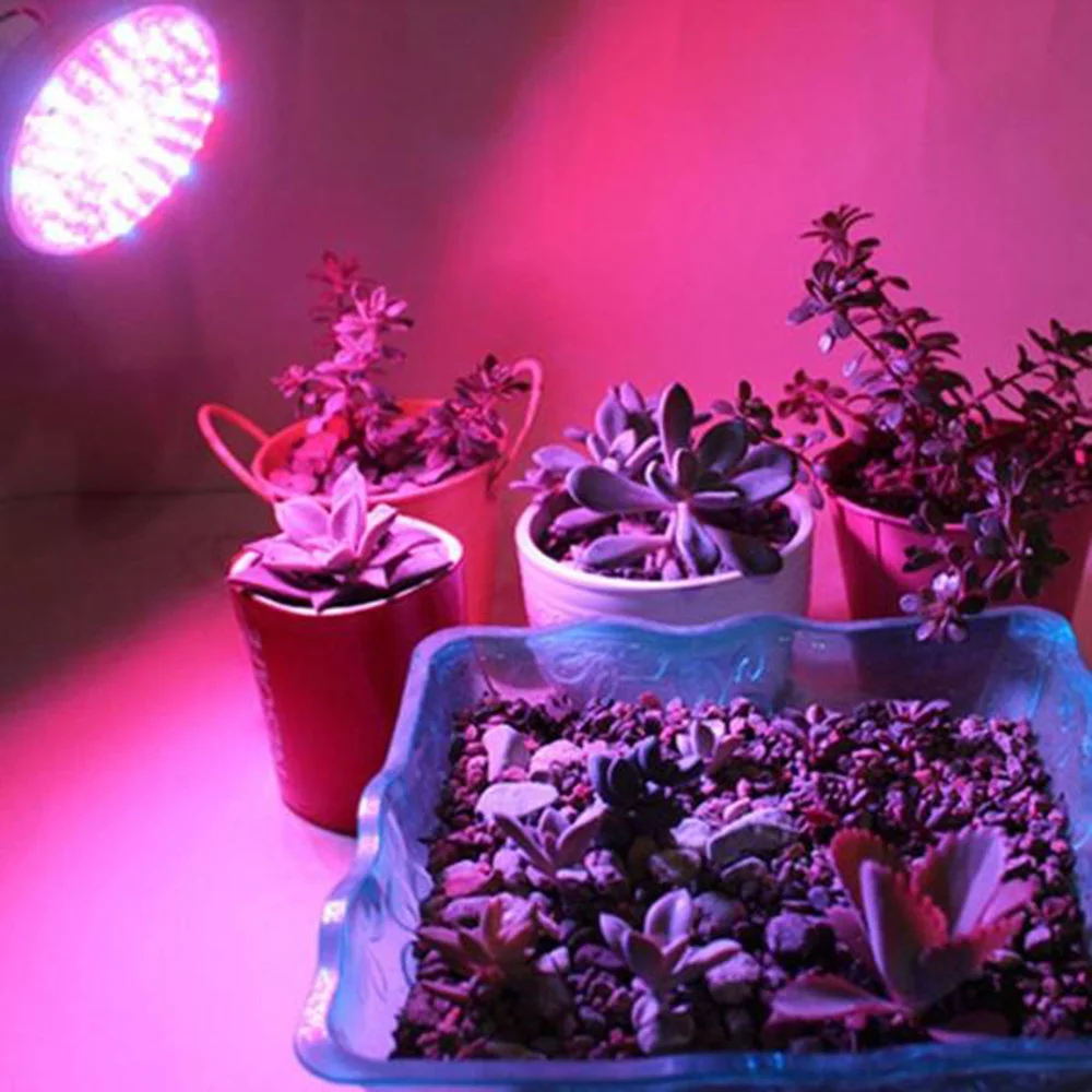 18W 18 LED E14 Plant Grow Light Full Spectrum LED Grow Light Bulbs for Hydroponics Greenhouse Lighting Plants Growing Flowering
18W 18 LED E14 Plant Grow Light Full Spectrum LED Grow Light Bulbs for Hydroponics Greenhouse Lighting Plants Growing Flowering