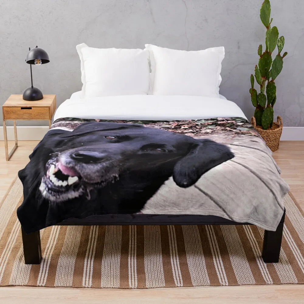 Good Morning Blanket Plush Velvet Warm Decoration Bed Home Throw Sofa Blankets Unisex Children Boys Gifts Adult NEW
Good Morning Blanket Plush Velvet Warm Decoration Bed Home Throw Sofa Blankets Unisex Children Boys Gifts Adult NEW