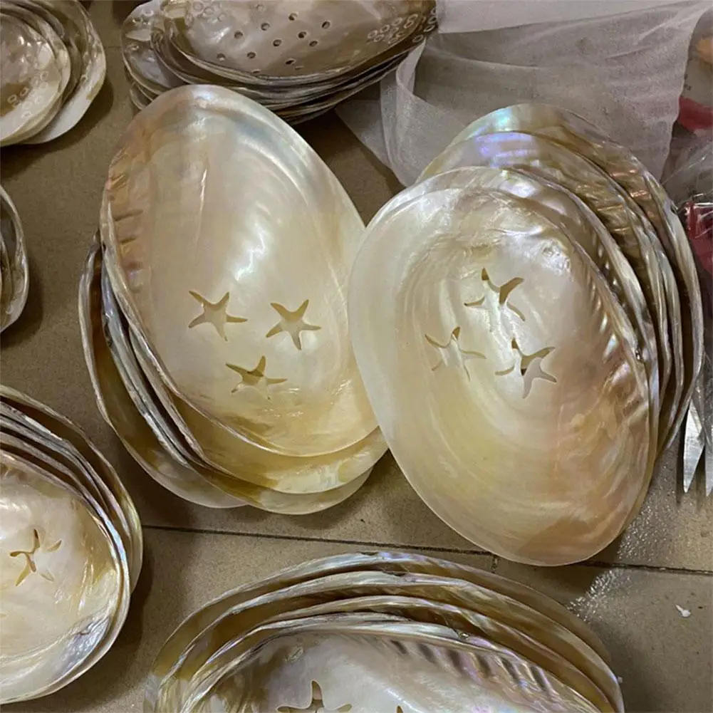 15-17cm Natural Freshwater Pearl Oyster Mother Of Pearl Nautical Home Decor Beach Clam For Diy Jewelry Making C A1j8
15-17cm Natural Freshwater Pearl Oyster Mother Of Pearl Nautical Home Decor Beach Clam For Diy Jewelry Making C A1j8