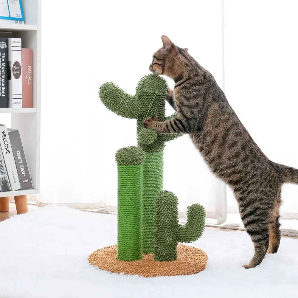Drop Shipping Cactus Pet Cat Tree Toys with Ball Scratcher Posts for Cat Toy Protecting Furniture Fast Delivery
Drop Shipping Cactus Pet Cat Tree Toys with Ball Scratcher Posts for Cat Toy Protecting Furniture Fast Delivery