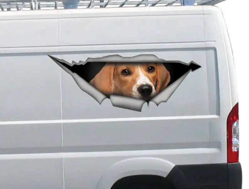 2021 Beagle car decal, Vinyl decal, car decoration, funny decal, dog decal, pet decal 
2021 Beagle car decal, Vinyl decal, car decoration, funny decal, dog decal, pet decal