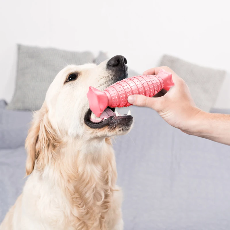 Solid Rubber Pet Dog Toy Candy Shape Bite Resistant Pet Toys Dog Chew Molars Teeth Training Odorless TPE Toys Products For Dogs
Solid Rubber Pet Dog Toy Candy Shape Bite Resistant Pet Toys Dog Chew Molars Teeth Training Odorless TPE Toys Products For Dogs