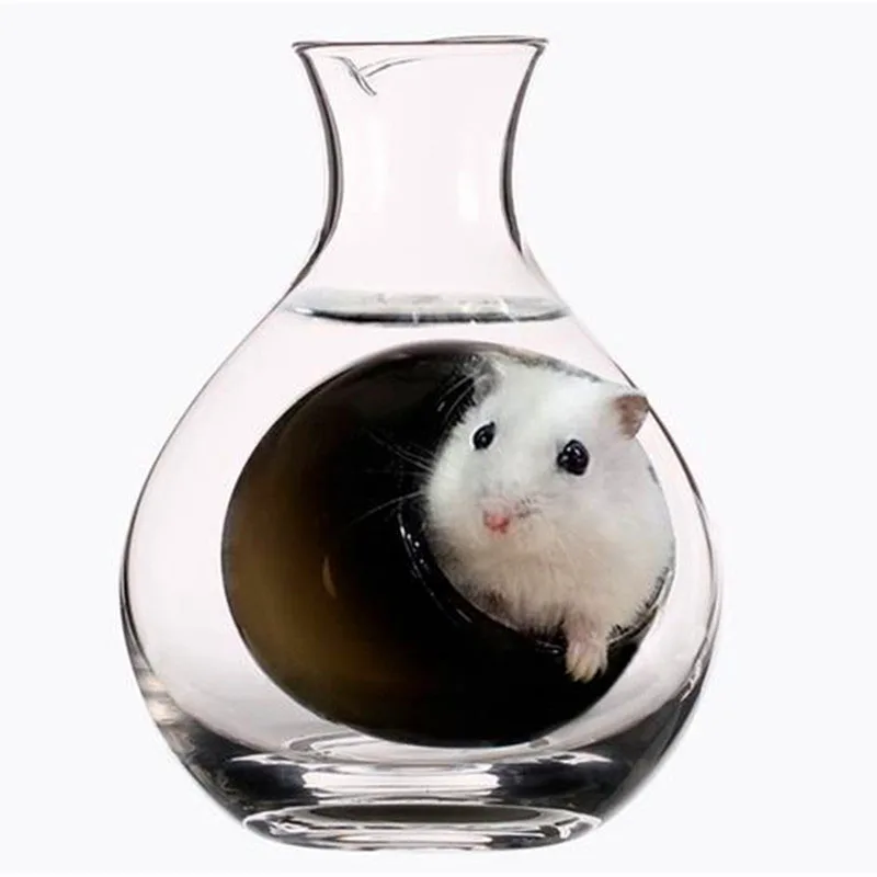 Creativity Hamster Ice Nest Animal Cooling Pot Transparent Glass Bed Summer Cute Sleeping House Small Pet Supplies 2021 New
Creativity Hamster Ice Nest Animal Cooling Pot Transparent Glass Bed Summer Cute Sleeping House Small Pet Supplies 2021 New