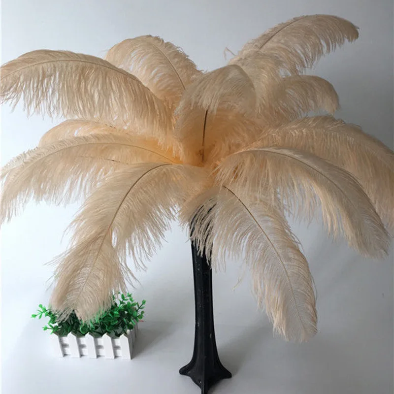20 шт 45-50 см 18-20 дюймов натуральные перья страуса шикарные Перья DIY перьевые Шлейфы для рабочего стола Свадебные украшения карнавал a076 
20 шт 45-50 см 18-20 дюймов натуральные перья страуса шикарные Перья DIY перьевые Шлейфы для рабочего стола Свадебные украшения карнавал a076
