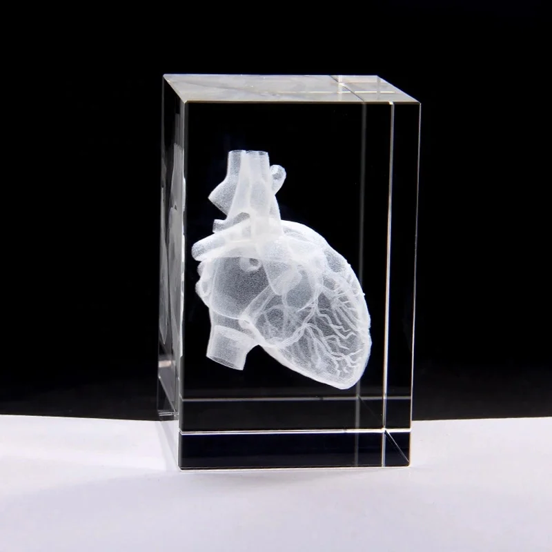 Heart Anatomy Model Design Cube Crystal 3D Laser Crystal Engraving With Detailed Visible Blood System For Hospital Souvenirs
Heart Anatomy Model Design Cube Crystal 3D Laser Crystal Engraving With Detailed Visible Blood System For Hospital Souvenirs