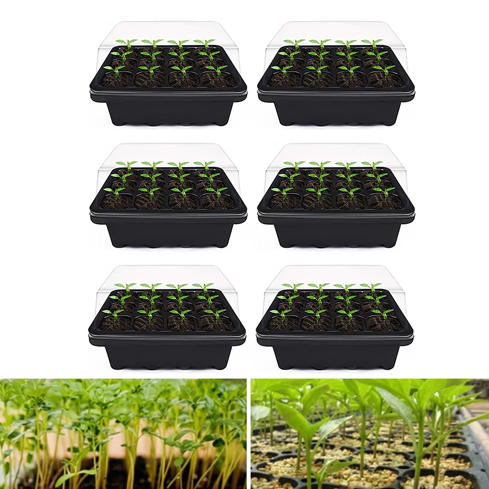3/6PCS 12 Holes Plant Seed Grow Box Plastic Propagator Growing Trays With Lids For Garden Nursery Vegetable Fruit Planting 
3/6PCS 12 Holes Plant Seed Grow Box Plastic Propagator Growing Trays With Lids For Garden Nursery Vegetable Fruit Planting