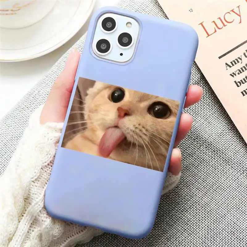 Cute animal cat dog Phone Case Candy Color Blue for iPhone 11 12 pro XS MAX 8 7 6 6S Plus X 5S SE 2020 XR
Cute animal cat dog Phone Case Candy Color Blue for iPhone 11 12 pro XS MAX 8 7 6 6S Plus X 5S SE 2020 XR