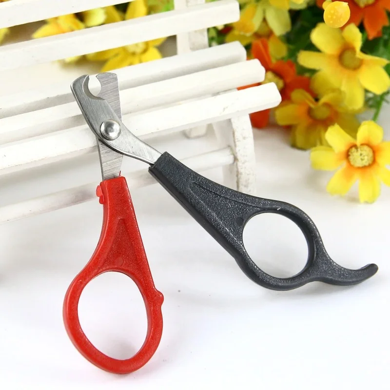 Pet Nail Scissors Shiny Nail Clippers for Cats Safe and Accurate Dog Nail Clippers
Pet Nail Scissors Shiny Nail Clippers for Cats Safe and Accurate Dog Nail Clippers