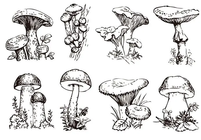 Прозрачный силиконовый штамп/печать для скрапбукинга/альбома декоративные прозрачные листы для штампов A180
Прозрачный силиконовый штамп/печать для скрапбукинга/альбома декоративные прозрачные листы для штампов A180
