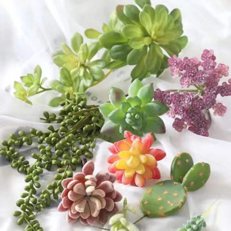 Simulation Succulent Plant Cactus Green Dry False Flower Wall Hanging Indoor Home Decoration Living Room Bedroom Creative Orname 
Simulation Succulent Plant Cactus Green Dry False Flower Wall Hanging Indoor Home Decoration Living Room Bedroom Creative Orname