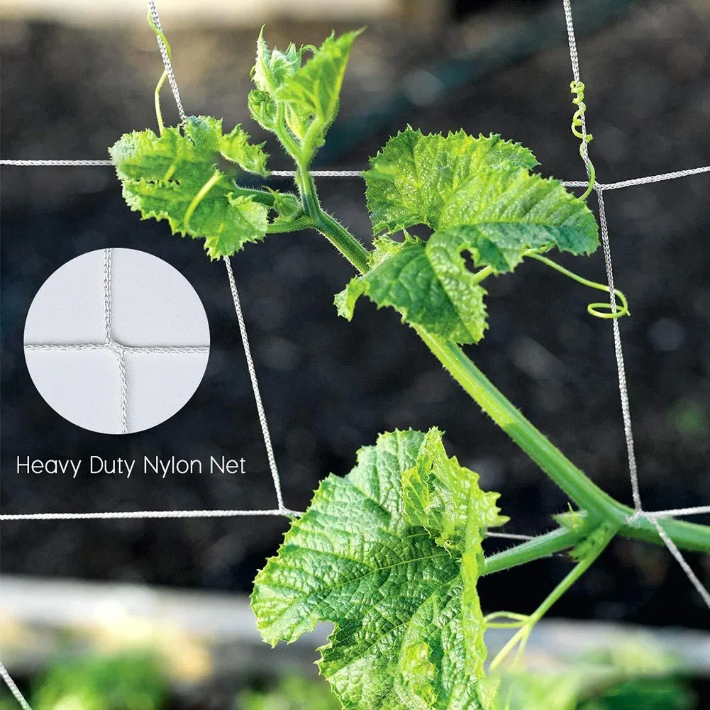 Save Space Plant Climbing Net Support Support Net Climbing Aid Easy To Grip For Climbing Plants
Save Space Plant Climbing Net Support Support Net Climbing Aid Easy To Grip For Climbing Plants