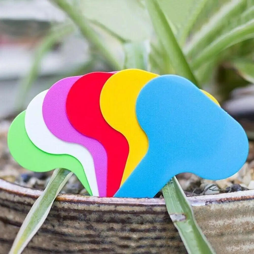 Garden Labels Plant Classification Sorting Sign Tag Ticket Plastic Writing Plate Board Plug In Card Colorful
Garden Labels Plant Classification Sorting Sign Tag Ticket Plastic Writing Plate Board Plug In Card Colorful